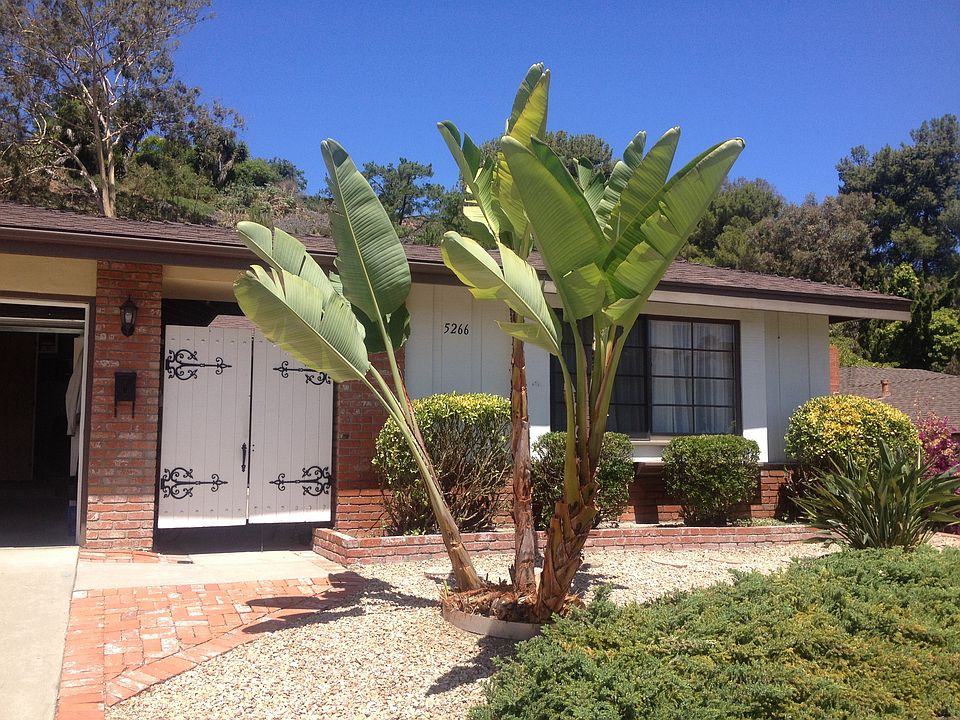 1st image of 5266 Cobb Pl
