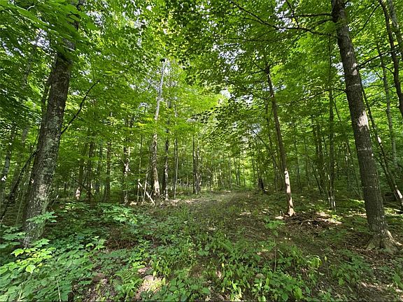4th image of Lot 6 Deer Lake Rd.