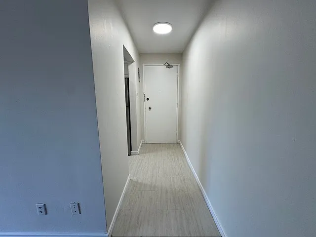 236 Louisa St #8B — Photo 11