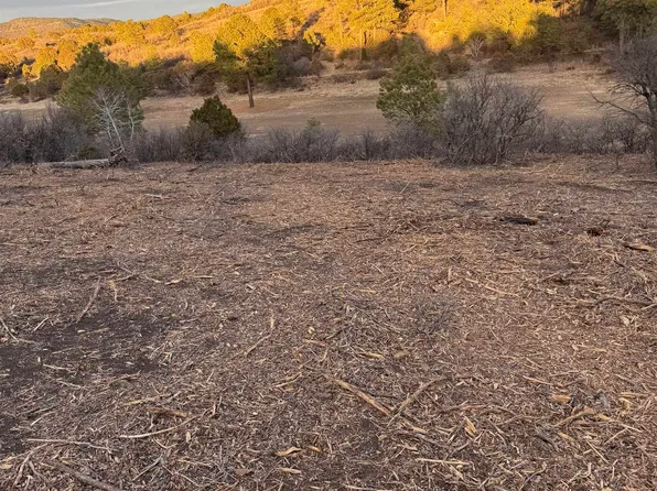 161 Eldrado Dr, Timberon, NM 88350