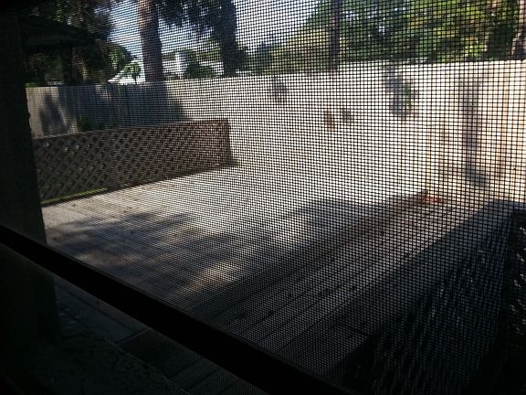 4th image of 4603 W Paxton Ave
