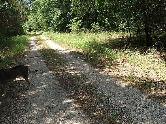 3rd image of Vz County Road 3222