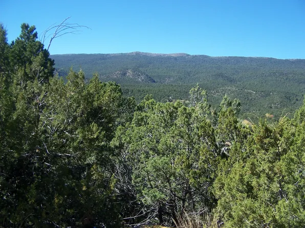 A 3 Sangre De Cristo, Cedar Crest, NM 87008