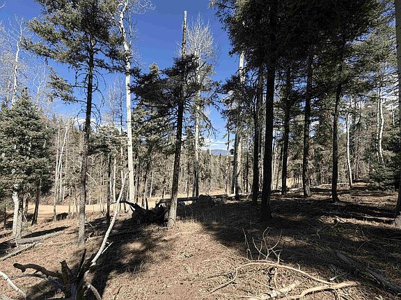2nd image of Lot 1283 Via Del Rey