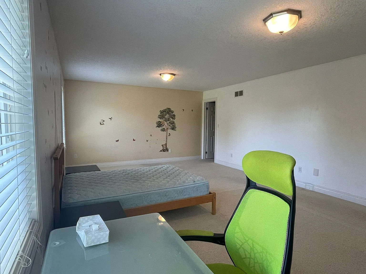 4 bed, 2800 sqft, $950 — Photo 4