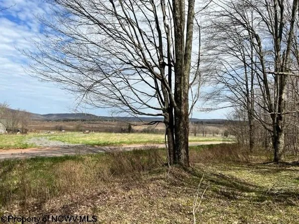 46 Idleman Run Rd, Davis, WV 26260