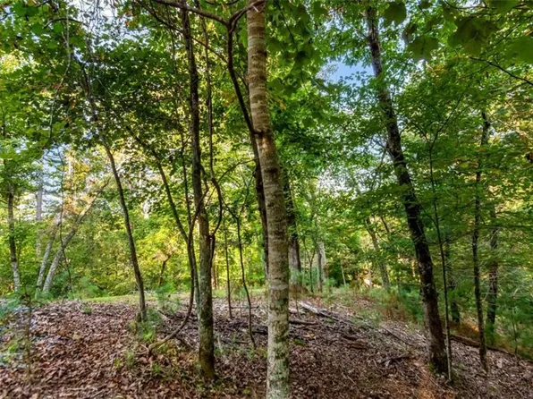 207 Parody Cir #1, Ellijay, GA 30540