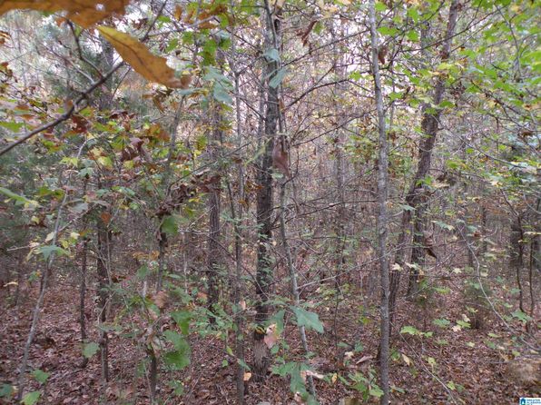 0 Fulton Gap Rd #0, Sylacauga, AL 35150