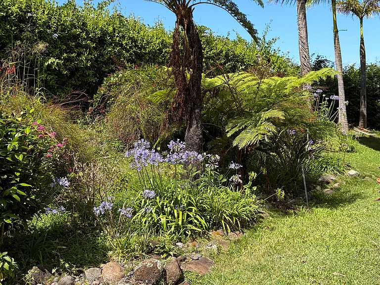 Outdoor landscaping