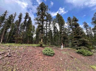 Lot 1498 Vista Del Sur, Angel Fire, NM 87557