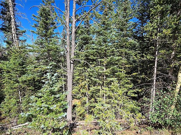 5th image of Lot 6174 Forbes Road LOT 6174