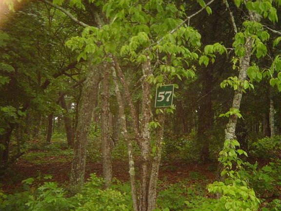 3rd image of Arden Acres #Lt 57