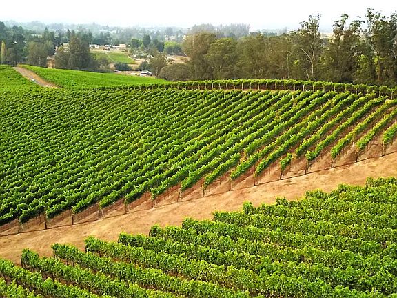 2nd image of 5215 Blank Road