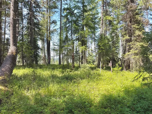 825 S Fork Rd, Martin City, MT 59926