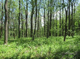 0 Walnut Knob Rd SE, Floyd, VA 24091