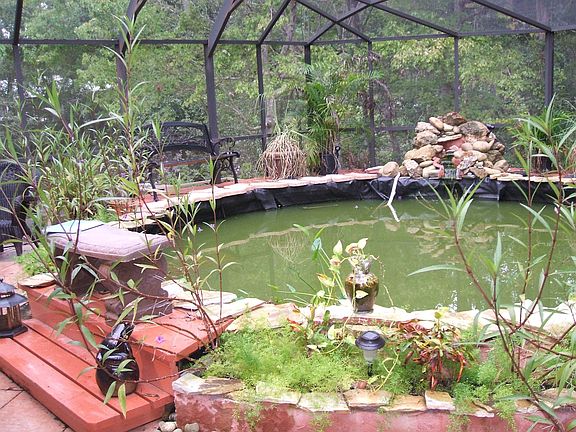 pond in screened enclosure off family room