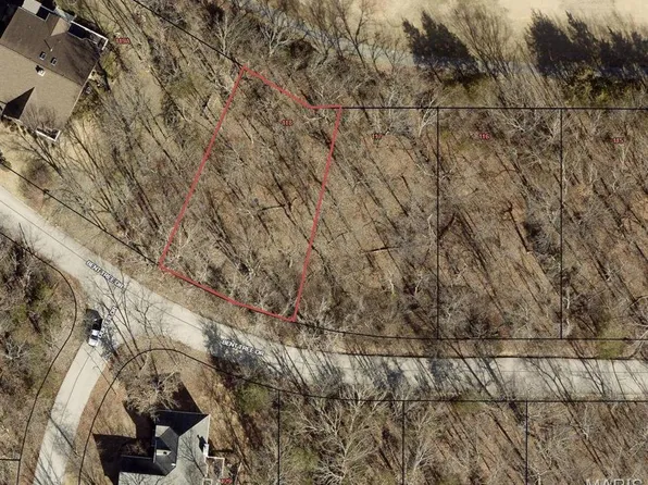 9581 Bent Tree Dr, Hillsboro, MO 63050