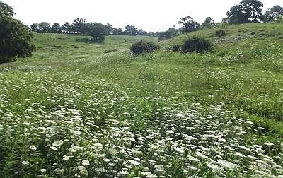 4th image of 24.091 Acres Valley