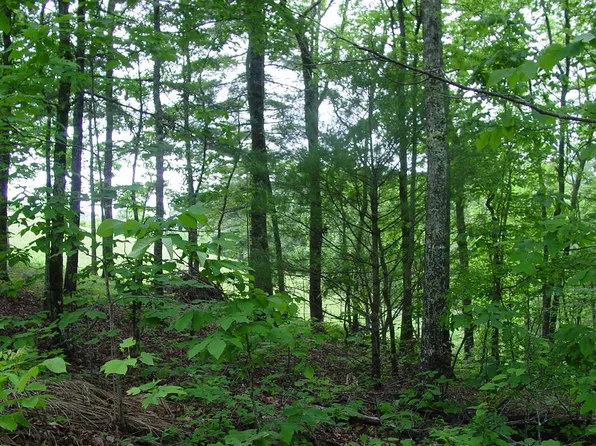 0 Victoria Woods, Hiawassee, GA 30546