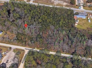 4264 Angora St, Middleburg, FL 32068