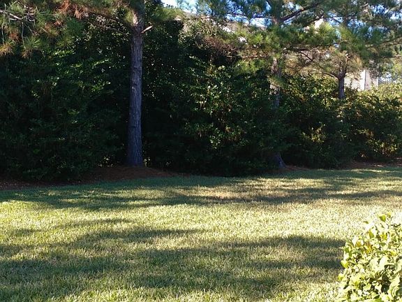 4th image of 7464 Scarlet Ibis Ln