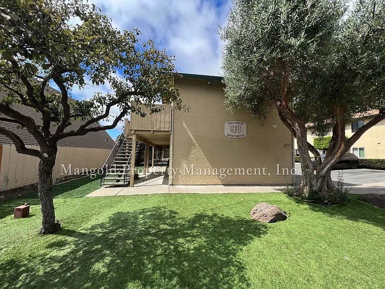 Perez — Photo 8