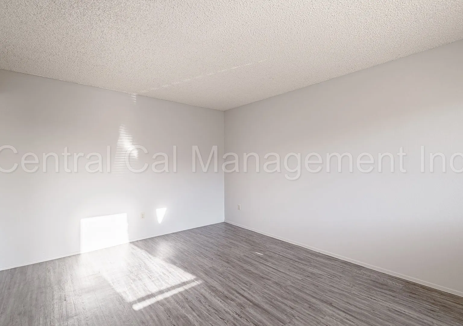 7208 Ming Ave — Photo 3