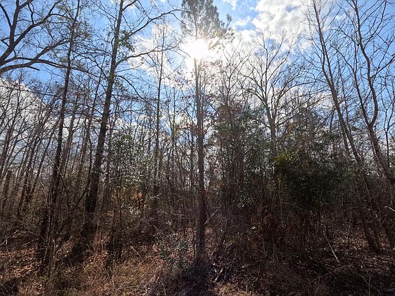 3rd image of Rockport New Hebron Rd