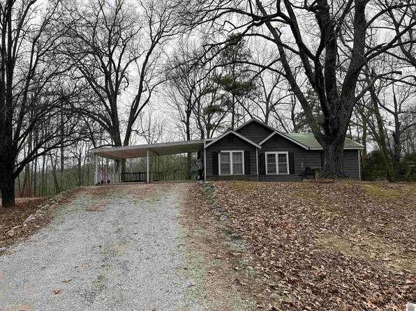 16993 State Route 97, Farmington, KY 42040