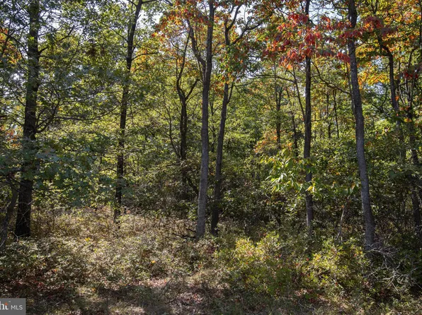 0 Maple Ln, Hazleton, PA 18202