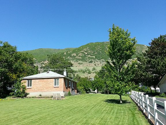 Back yard