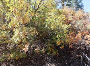 63 Magpie Ln, Pagosa Springs, CO 81147