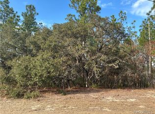 3959 W Galleon St, Citrus Springs, FL 34433