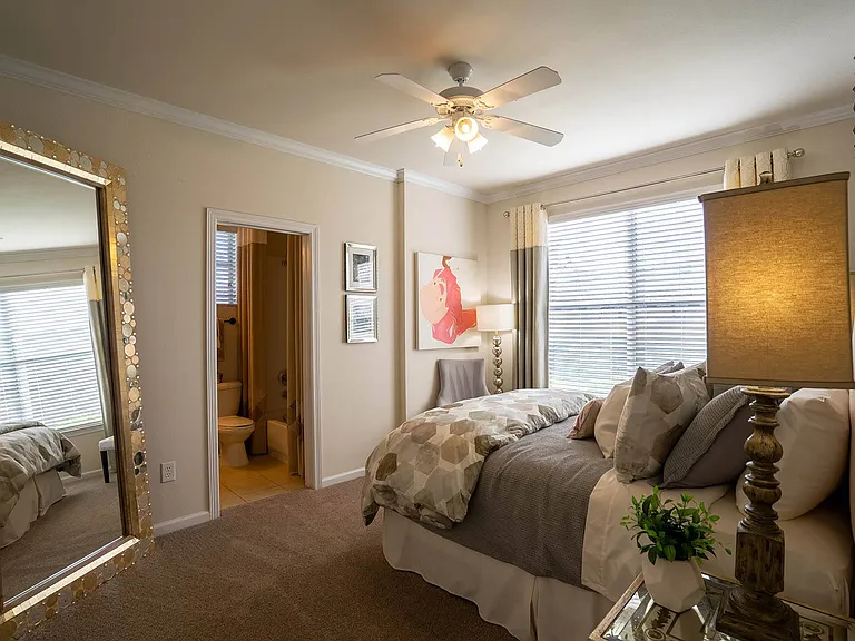 Orion Prosper Lakes Apartments — Photo 8