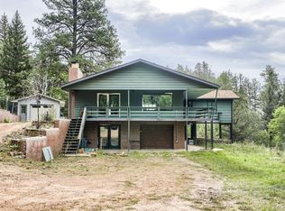 11662 S Juniper Rd, Pine, CO 80470