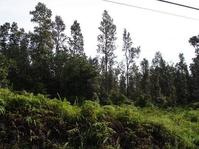 2nd image of Lehua St Lot 6922