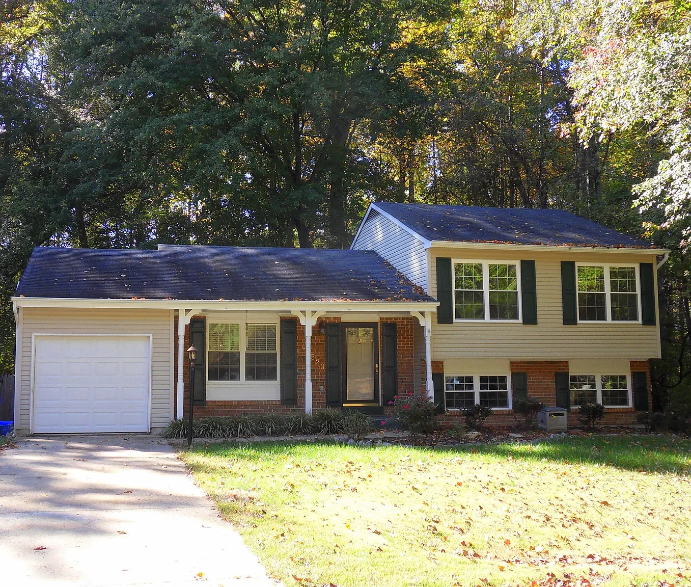 11523 Timberbrook Dr photo 1