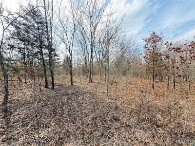 Dogwood Ln, Saint James, MO, 65559
