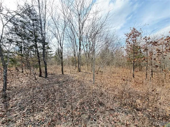 Dogwood Ln, Saint James, MO 65559