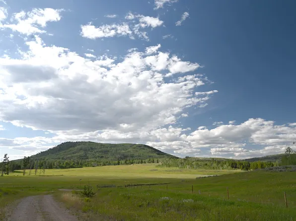 33170 Wenatchi Trl, Oak Creek, CO 80467