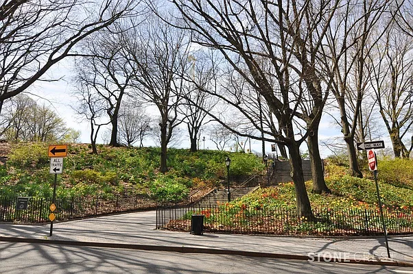 Rented by Stonecrest Realty | media 9