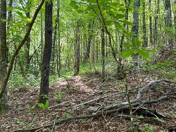 4th image of 675 Ed Graves Rd