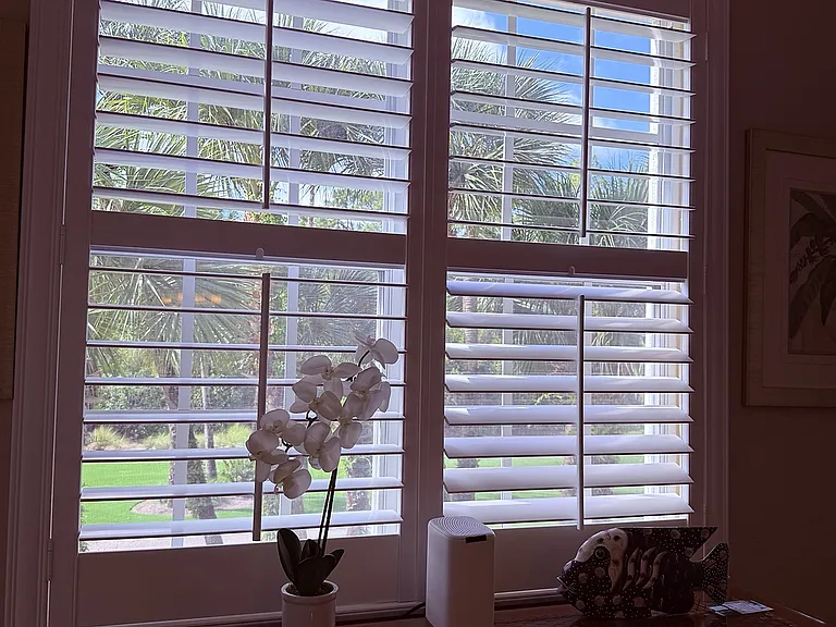 Window to fairway view off master bedroom