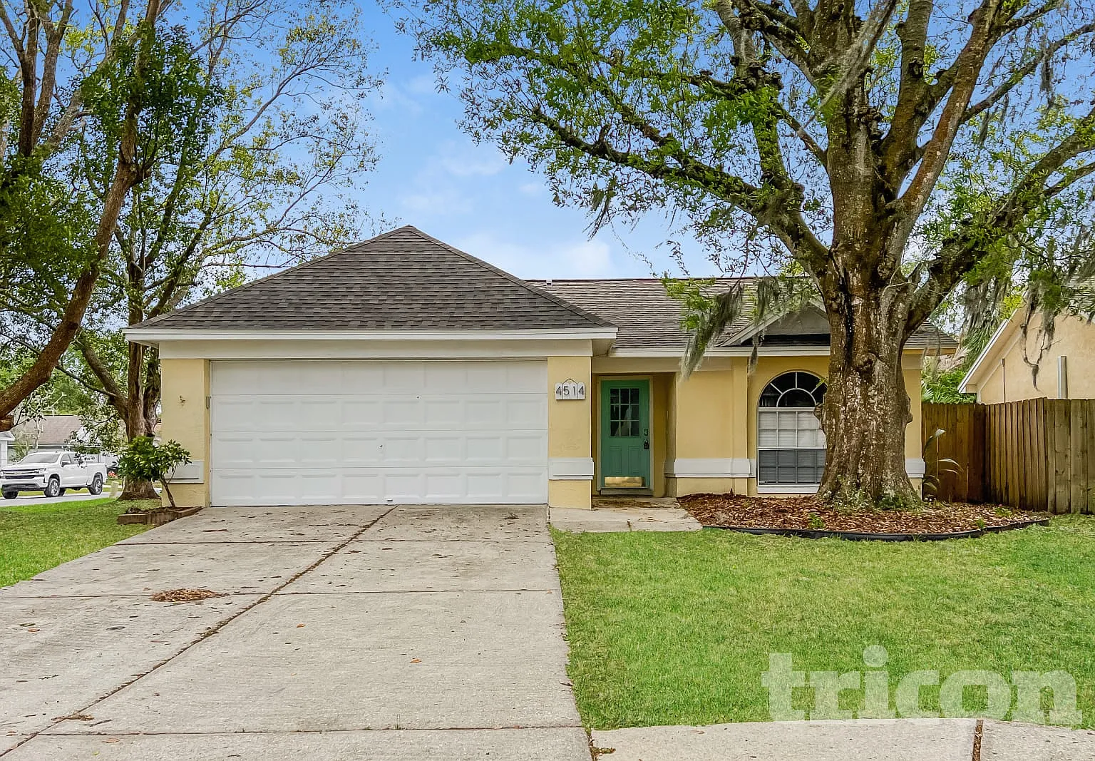 4514 Cabbage Palm Drive Valrico FL — Photo 1