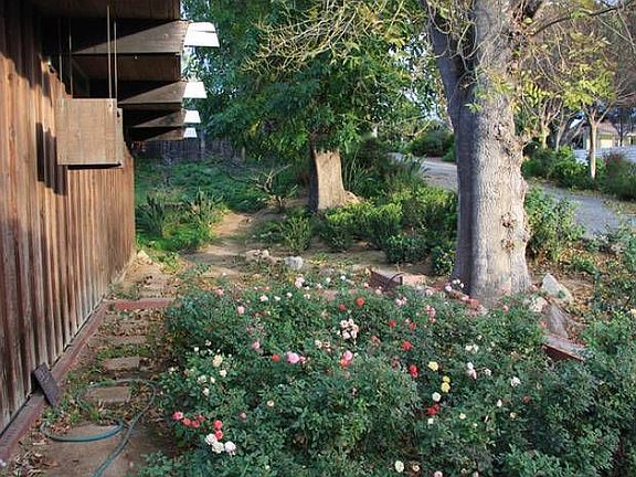 Landscaping in Front