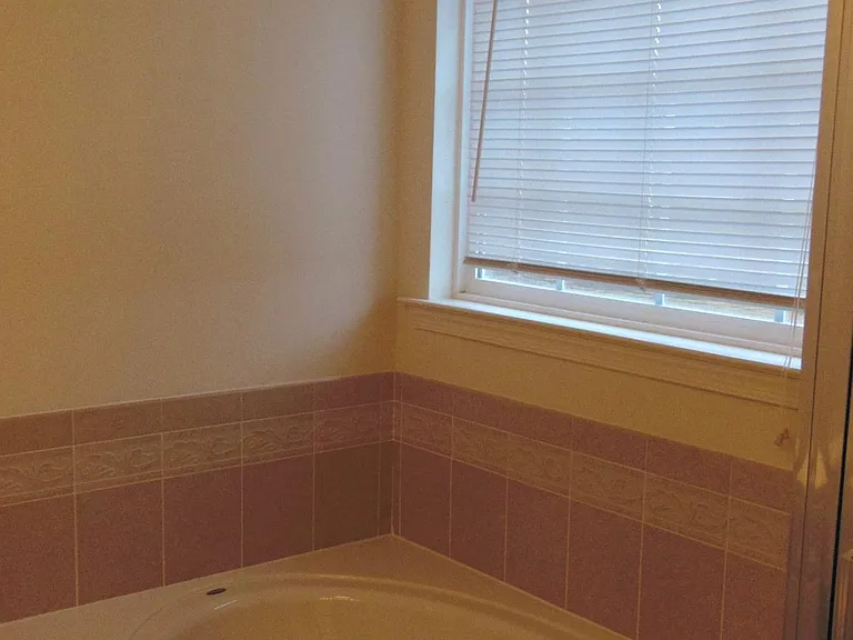Owner's bathroom - garden tub