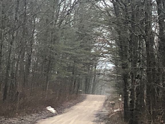 4th image of 4885 S Healy Rd