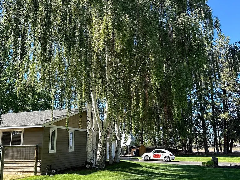 21700 Stud Ct — Photo 4