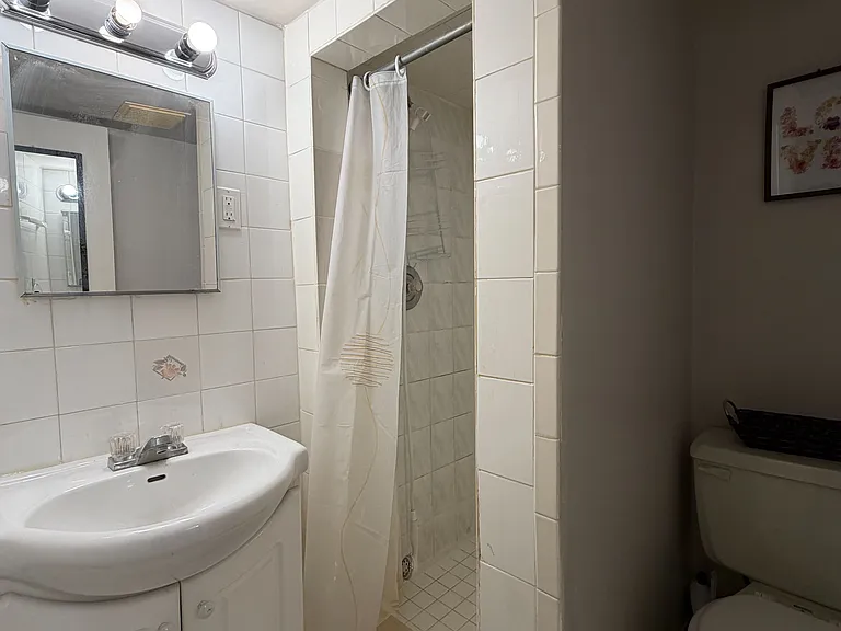 251 Shawnee Cir #BASEMENT — Photo 4