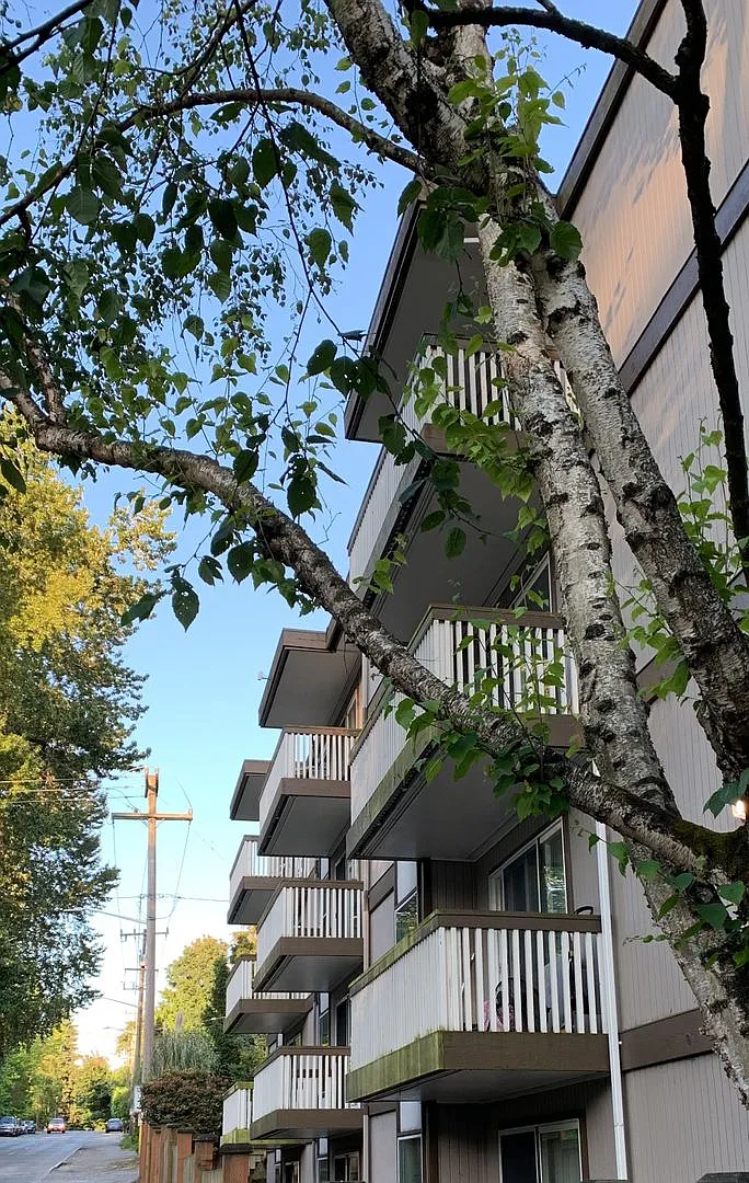 Ravenna House — Photo 4
